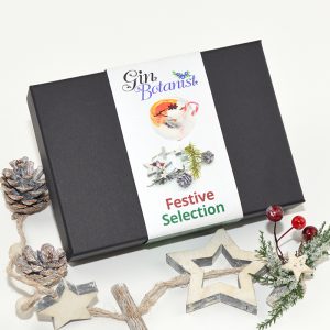 Festive Selection (4 Pack)